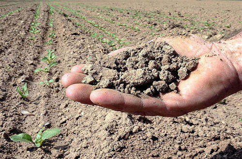 DANNI DA AVVERSITA' ATMOSFERICHE E CALAMITA' NATURALI ALL'AGRICOLTURA
Danni alle produzioni agricole causati dalla siccità 2023